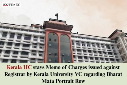 Bharat Mata Portrait