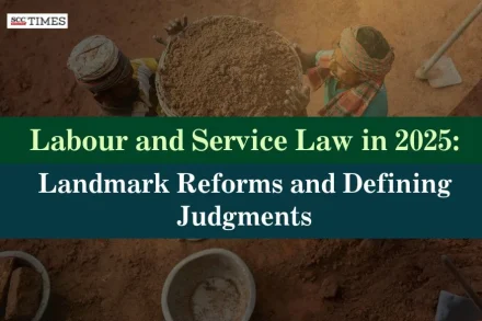 Labour and Service Law Developments in 2025