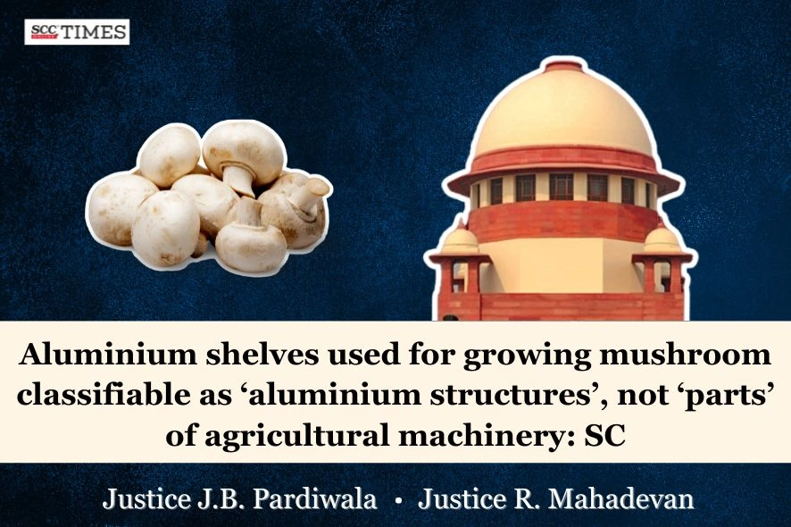 aluminium shelves classifiable as structures