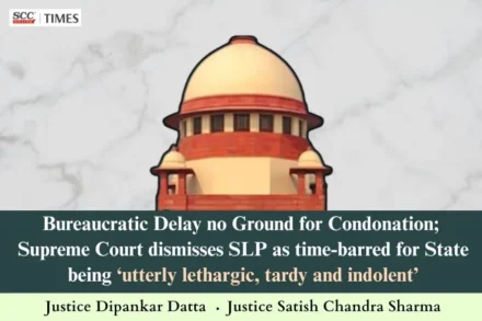 Condonation of delay in government litigation