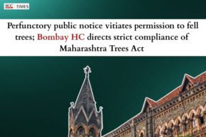 unlawful tree felling