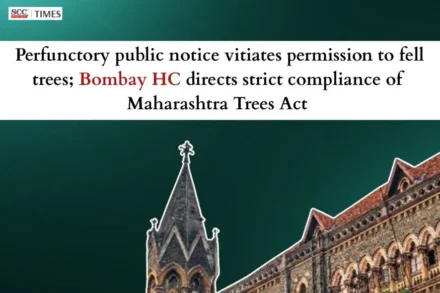 unlawful tree felling