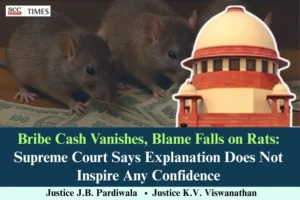 rats ate bribe money