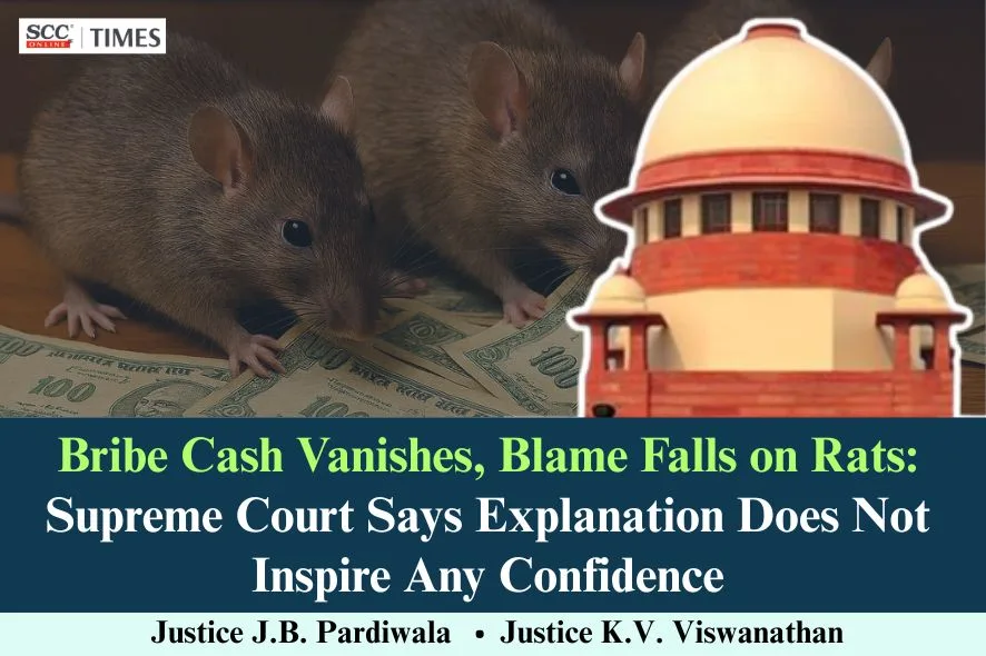 rats ate bribe money