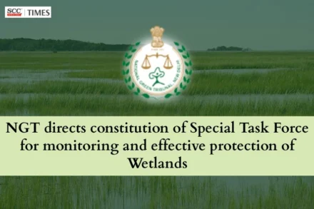 Direction for Wetland Protection