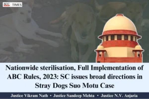 stray dogs