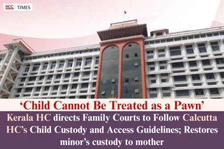 Calcutta HC's child custody guidelines