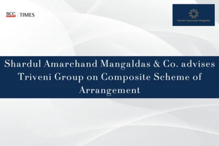SAM Triveni Group Scheme of Arrangement