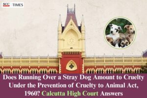 Stray dog run-over case