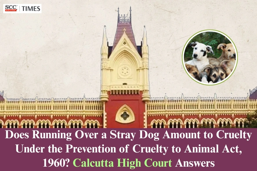 Stray dog run-over case