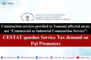 Commercial or Industrial Construction Service