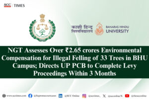 Environmental compensation for illegal tree felling