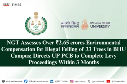Environmental compensation for illegal tree felling
