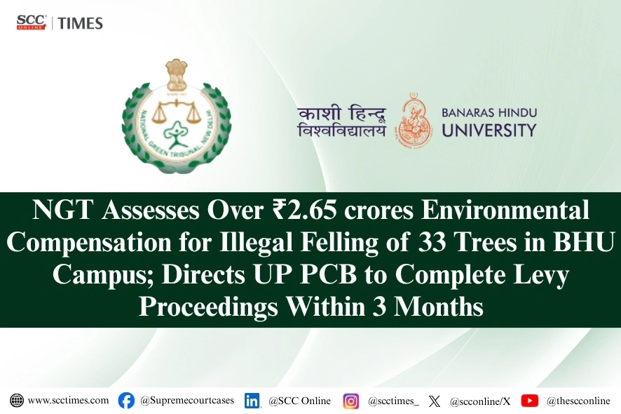 Environmental compensation for illegal tree felling