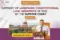Landmark Constitutional Law Judgments 2025