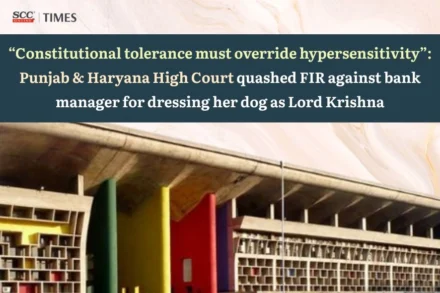 dog dressed as Lord Krishna