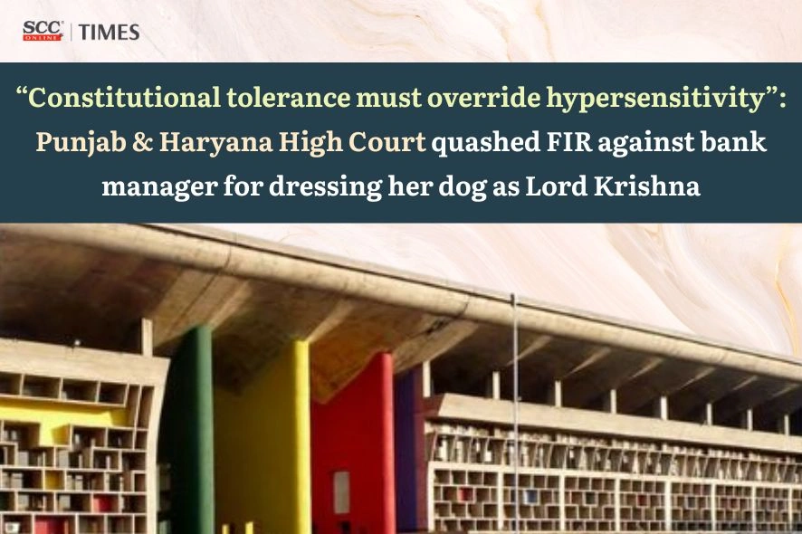 dog dressed as Lord Krishna