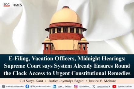 round-the-clock access to constitutional courts