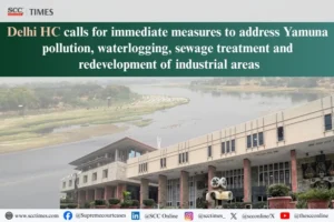 Delhi High Court Yamuna pollution