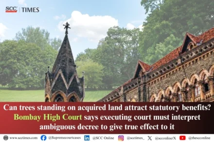 Executing court must interpret ambiguous decree
