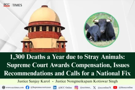 deaths due to stray animals